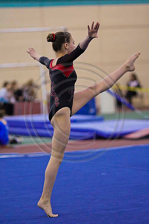 TAZ20066