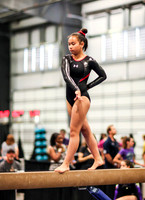 HSM_0568