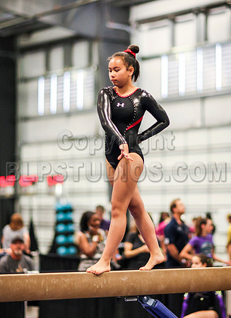 HSM_0568