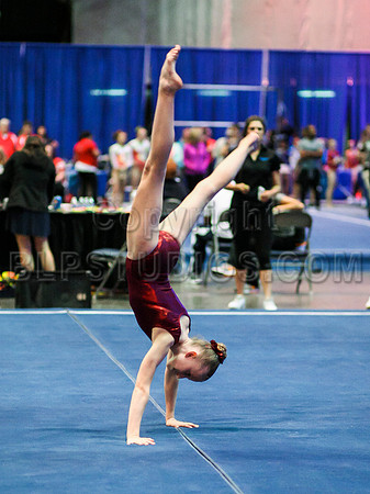 HSM_0716