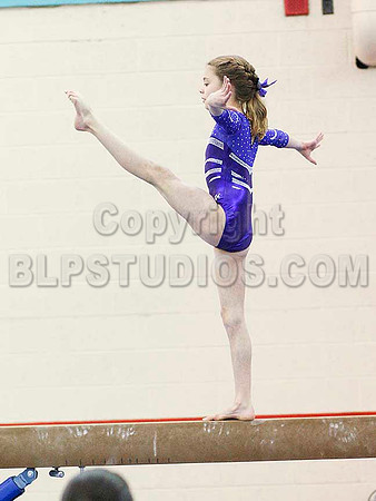 HSM_8511