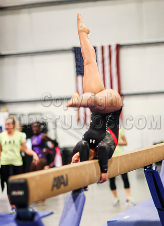 HSM_0553