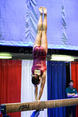 HSM_0344