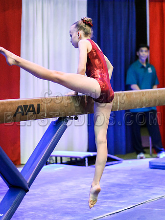 HSM_0377