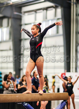 HSM_0564