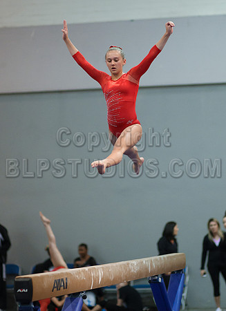 HSM_4376
