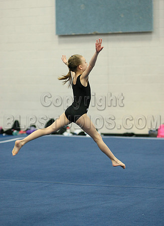 HSM_6020