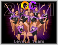 Level 5 Team