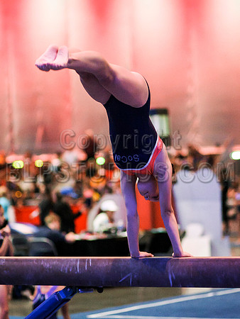 HSM_1186