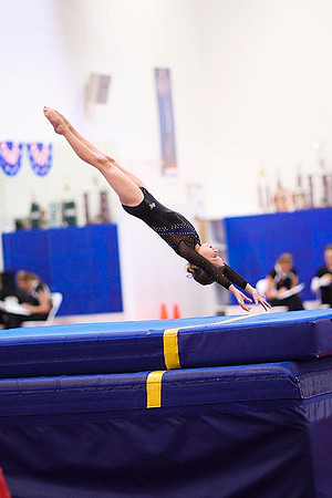 TAZ29790