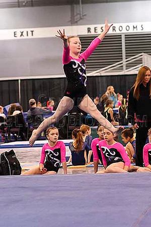 HSM_3521