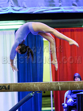 HSM_2077