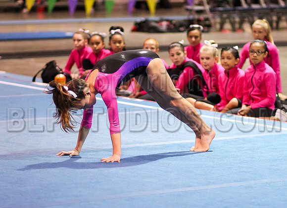 BU2F0382