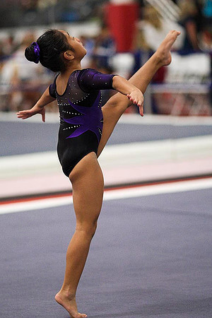 TAZ24444