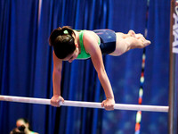 HSM_1191