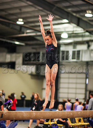 HSM_0975