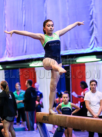HSM_1681