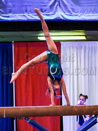HSM_4419