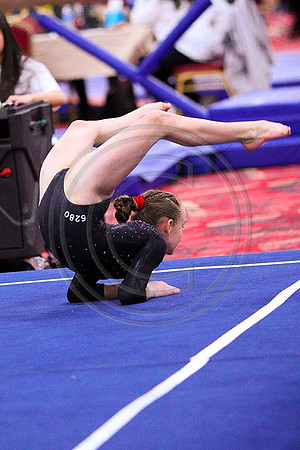 TAZ20135