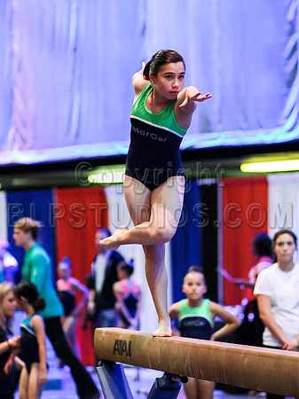 HSM_1704