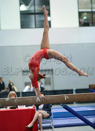 HSM_4608