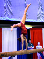 HSM_0338