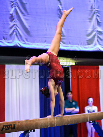 HSM_0338