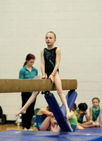 HSM_5341