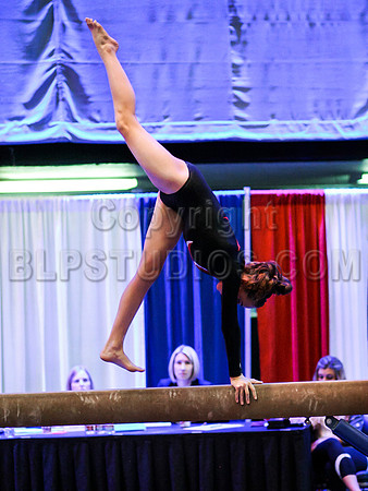 HSM_0882