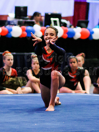 HSM_0019
