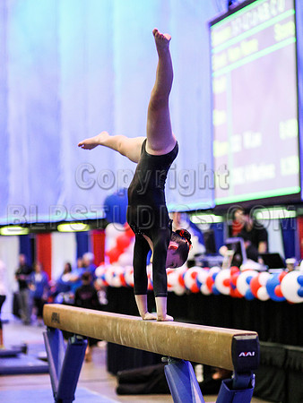 HSM_1041