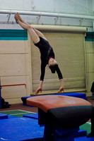 Ali Ann Gillett
