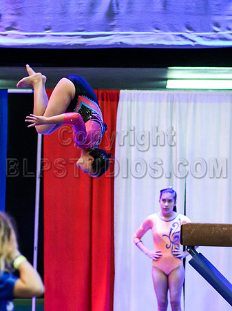 HSM_1316