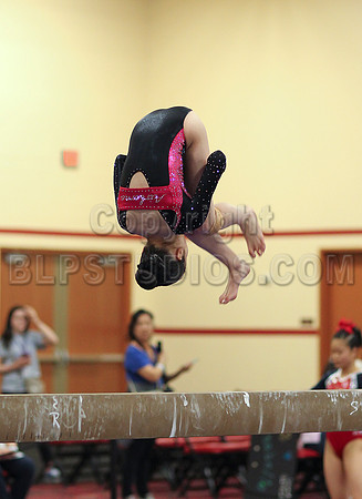HSM_3646
