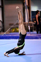 HSM_4460