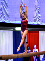 HSM_0341