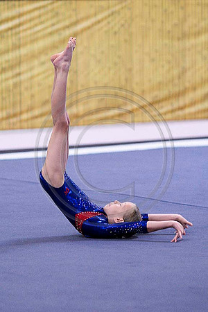 TAZ24018