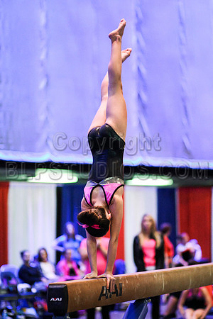 HSM_2439