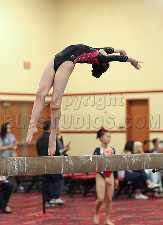 HSM_3638