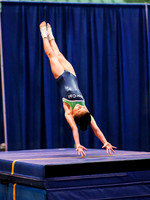 HSM_1577