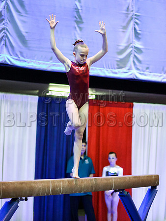 HSM_0393