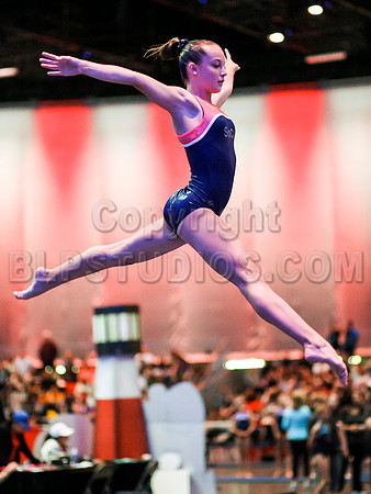 HSM_1175