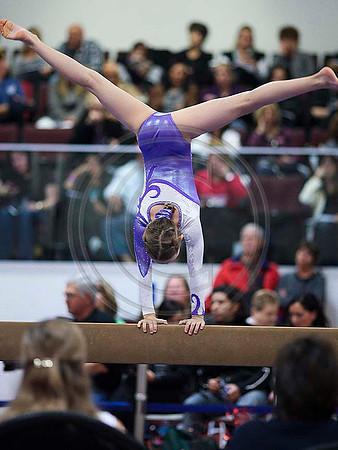 TAZ19884