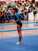 HSM_3378