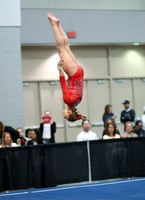 HSM_2198