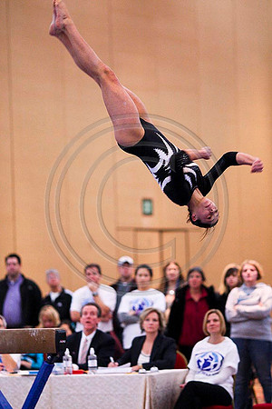 TAZ20023