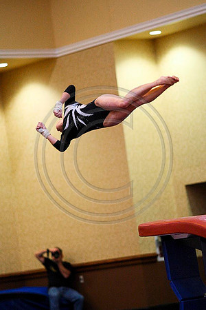 TAZ2006