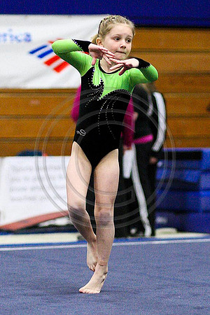TAZ24119