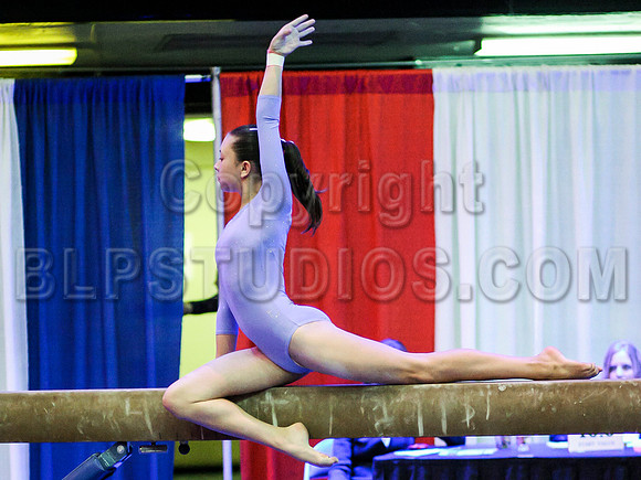HSM_2014