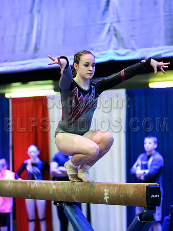 HSM_1595